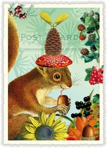Postcard Lame Squirrel Die-cut