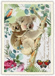 Postcard Koala Die-cut