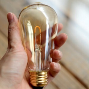 Edison Bulb LED Single ゴールド　エジソンバルブ　LED　シングル