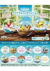 Figure/Model collection terrarium Pokemon