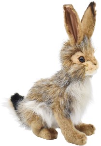【HANSA製品】オグロウサギ　26　BLKTAIL　RABBIT