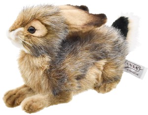 【HANSA製品】オグロウサギ　25　RABBIT　BLKTAIL