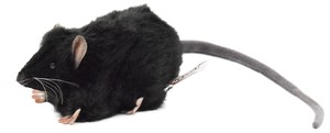 【HANSA製品】クロネズミ　27　　FAT　RAT　BLACK