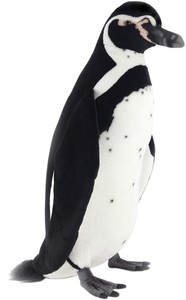 【HANSA製品】フンボルトペンギン　66　HUMBOLDT　P