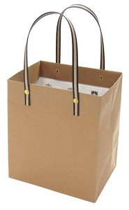 General Carrier Paper Bag