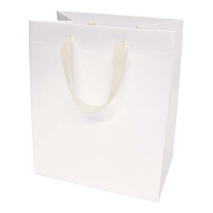 Paper Hand Bag Wide Bottom Bag PC233