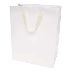 Paper Hand Bag Wide Bottom Bag PC234