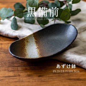 Seto ware Main Dish Bowl Made in Japan