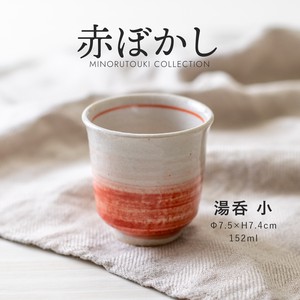 Seto ware Cup Small Made in Japan