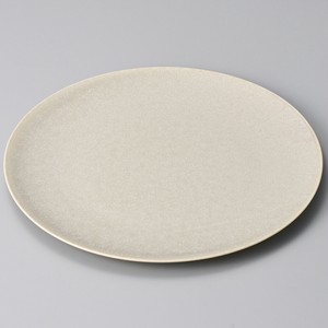 Main Plate Porcelain sliver M Made in Japan