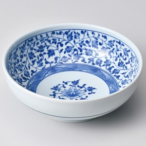 Main Dish Bowl Porcelain Made in Japan