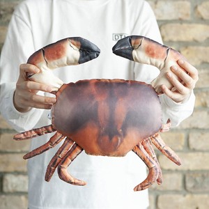 DULTON (ダルトン) フィッシーズ ブラウン クラブ FISHES BROWN CRAB 25 [Y-0515]
