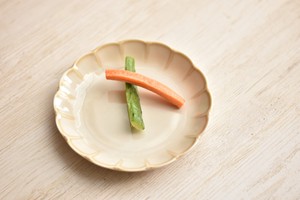 美浓烧 大餐盘/中餐盘 西式餐具 16.5cm 日本制造