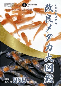 改良メダカ大図鑑 100年メダカ 2023 Vol.20 (MEDAKA COLLECTION)