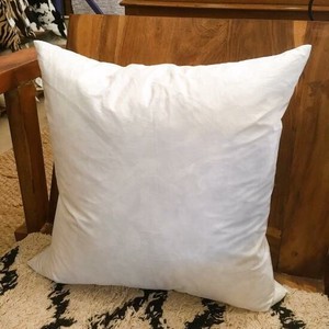Cushion Feather 45 x 45cm 2023 New