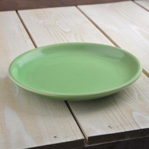 Mino ware Main Plate Western Tableware 23cm Made in Japan