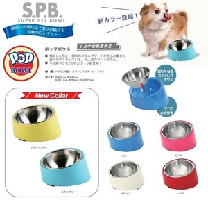 Dog Bowl