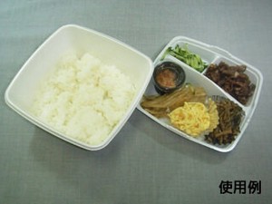 中央化学 弁当容器 CF ランチBOX-1 身