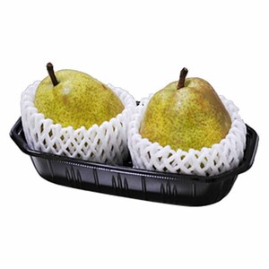 Food Container Fruits