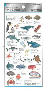 【2023春夏新作】【デコレーション】【海の生き物】大人の図鑑シール　海洋生物　700655
