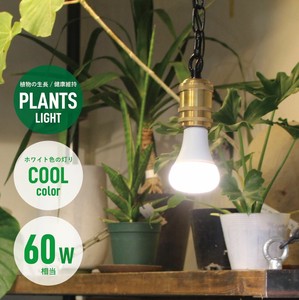 PLANTS LIGHT 60 COOL / プランツライト 60 COOL