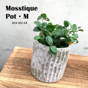 ◆アビテ◆自然で味わいのある雰囲気のある植木鉢シリーズ【モスティーク・ポット・M】