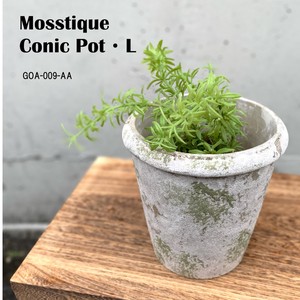 ◆アビテ◆自然で味わいのある雰囲気のある植木鉢シリーズ【モスティーク・コニックポット・L】