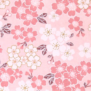 Handicraft Material Pink Tezomeyuzen Made in Japan