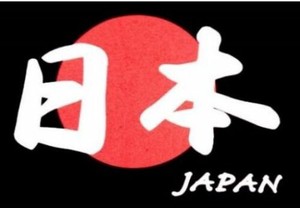 FJK 日本のTシャツ お土産 子供Tシャツ 日の丸 日本 黒 90〜140サイズ CT-207B