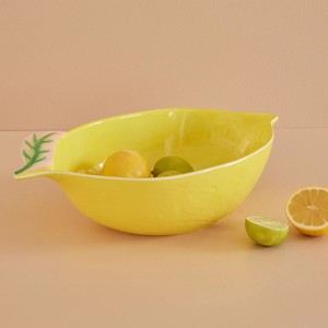 Donburi Bowl Lemon