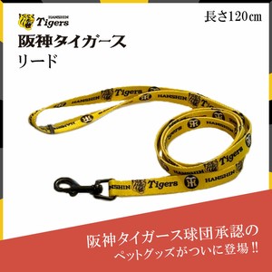 Dog/Cat Leash Presents Dog