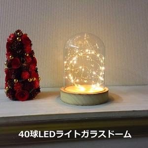 预购 圣诞节用品 LED灯 2024年 圣诞节