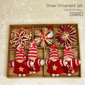 Pre-order Ornament