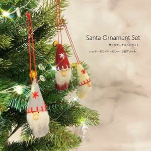 Pre-order Ornament Ornaments