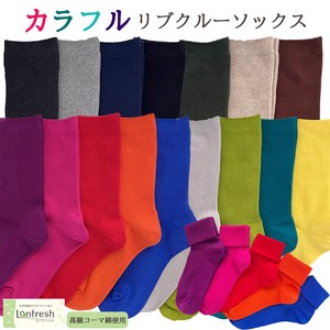 短袜 抗菌加工 女士 新颜色 棉 21颜色 日本制造