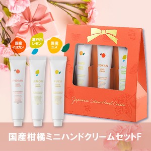Hand Cream Gift Mini Presents Made in Japan