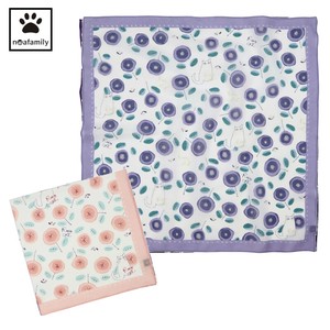 Handkerchief Cat
