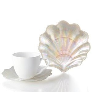 【特価品】シェル カップ&ソーサー ケーキ皿/中皿/ガラス皿 オーロラカラー 貝 小物置き