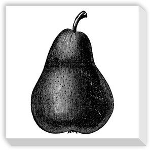 キャンバスアート Mini Panel Pear Black