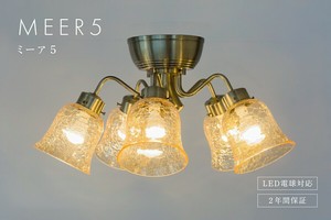 【シャンデリア】シーリングライト 天井照明 引掛けシーリング おしゃれ ガラス MEER5ミーア5 MLH-513