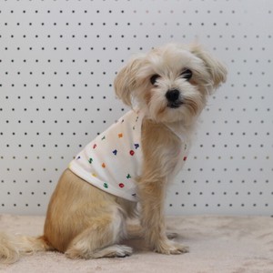 Dog Clothes Top Cropped T-Shirt Spring/Summer L Short Length Autumn/Winter