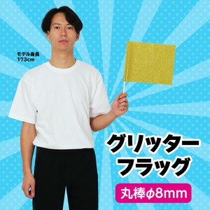 Educational Toy Flag