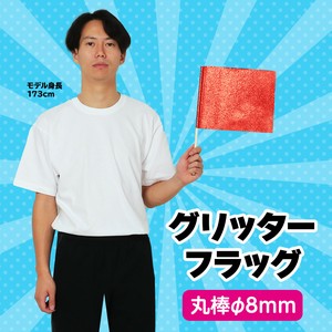 Educational Toy Red Flag