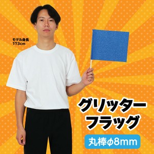 Educational Toy Flag