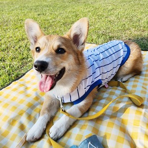 Dog Clothes T-Shirt Stripe Spring/Summer Cool Touch