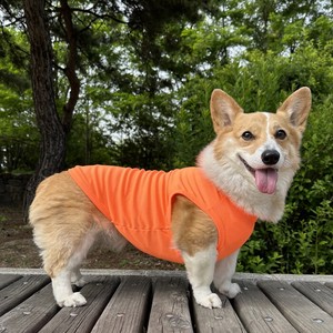 Dog Clothes T-Shirt Spring/Summer Cool Touch