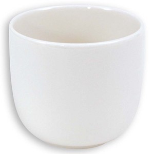 Mino ware Cup/Tumbler White