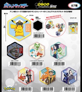Magnet/Pin Pokemon Honeycomb