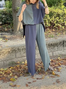 Full-Length Pant Color Palette Pleated Pants