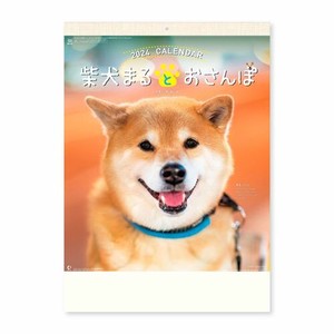 【新日本カレンダー】カレンダー 2024 柴犬まるとおさんぽカレンダー   NK8035